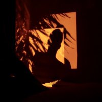 ANOTHER SHORE (@anothershore1) 's Twitter Profile
