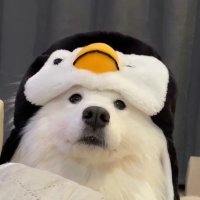 Ruthe Devon (@ruthedevon) Twitter profile photo