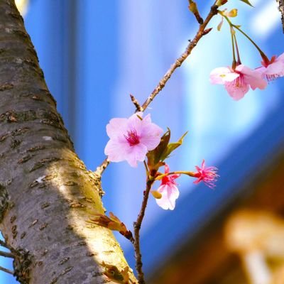 tc5wno85768's profile picture. 