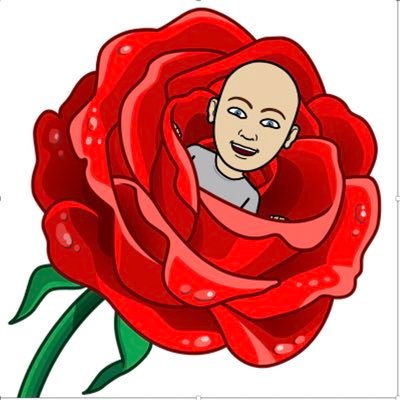 Offering social comment based on 11+ years as @Camcitco Cllr. 30+ years as a firefighter, a PhD in social science and 15 years in academia. What’s left? I am.