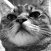 猫部長 (@neccobucho) Twitter profile photo 猫部長 (@neccobucho) Twitter profile photo