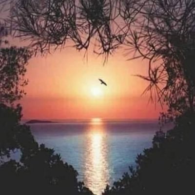 S (You Don’t Make Sure I Know Which 1 Is U & To MAKE SURE I’m In Your Car! I STOPPED ARGUING.(I’m On A Long Break)Not A SAFE @NiteEspecially/I Don’t FeelWell.✈️