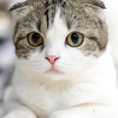 aya_S259's profile picture. 