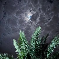 َ (@solllax) 's Twitter Profile