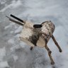 OH6HGN's profile picture. Interests include amateur radio OH6HGN, Arduino and Rasberry Pi, electronics constructing and kits. Dance hobby West Coast Swing.
Electrician jobs