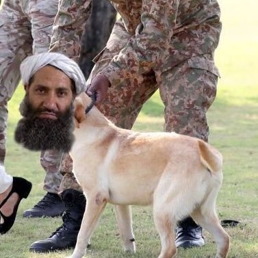 Ls_of_Indians's profile picture. Have a jollygood day Cow worshipers & LGBTaliban