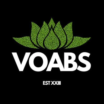 VOABS provides a space for incarcerated individuals to document their thoughts, dreams, aspirations and showcase their artwork.
