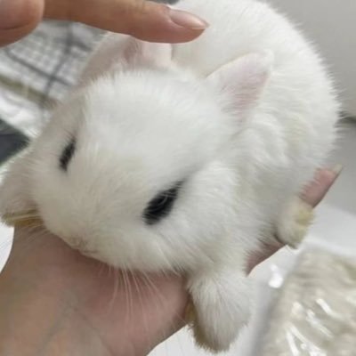 lxxk_2_0's profile picture. 소히님을사랑하는성인이고여자고모르는여자무멘팔환영♡