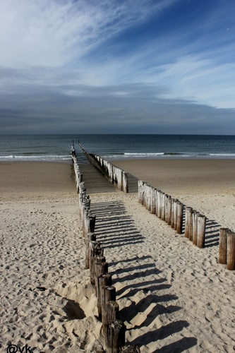 jolkos's profile picture. verpleegkundig specialist | oncologische gynaecologie | UMC Utrecht Cancer Center I voorzitter TWG gynaecologische oncologie van de V&VN oncologie.