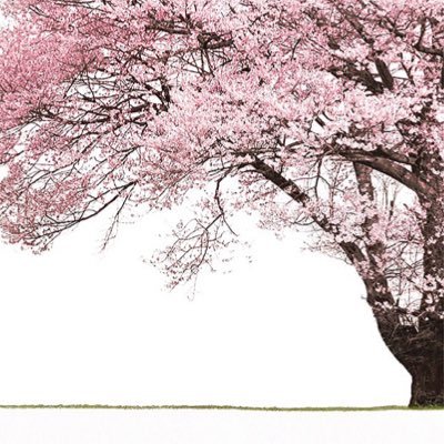 まこと (@mkt5296) / Posts / X