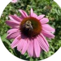 Michael26001267's profile picture. 