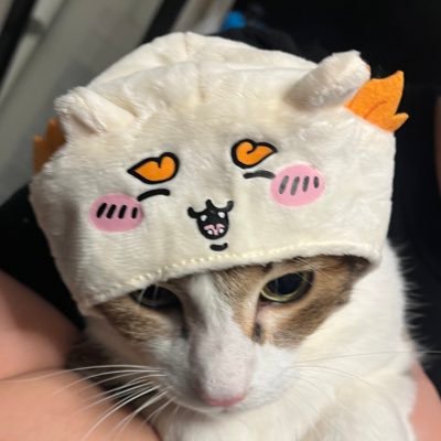 yujyumaro's profile picture. 競馬と猫とお酒をこよなく愛する者。独自の指数を元にメインレースの予想に勤しんでおります。自信度があるレースは🔥で見える化！たまにパチやスロもやってます( ´∀｀)気軽にフォローしてください👍