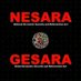 NESARA GESARA (@NesaraG91427) Twitter profile photo