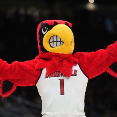 UofLCardsL1C4 Profile Picture