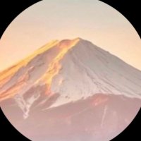 よっちゃん✨✨✨✨✨✨✨ (@yochian445) Twitter profile photo