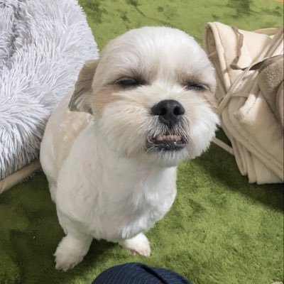 nakahara01181's profile picture. 