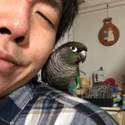 rapin_rabbit's profile picture. 主に虫を観察するためのガーデニングをしています🪴インコ、カメ、トカゲモドキ、ゴキブリ、ダンゴムシを飼っています🥰クリップストア オウマガトキFILM ゾゾゾが好き🎥ドラえもんも好き🛎
