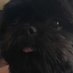 nesha (@damnfudge) Twitter profile photo nesha (@damnfudge) Twitter profile photo