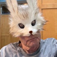 Mr Rabbit(@RabbitLadyFilm) 's Twitter Profile Photo