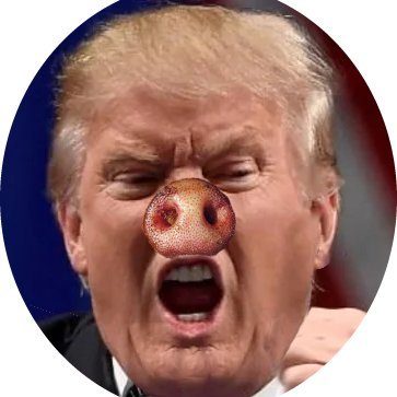 Tleary420's profile picture. Radical Left Thug with Trump Derangement Syndrome and Woke Mind Virus. Merry Prankster