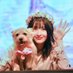 comomo227🐻🦊 (@comomo227) Twitter profile photo