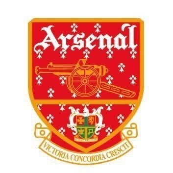 ArsenalInjuries Profile Picture