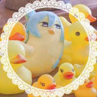 ぴよぴよ🐣 (@piy0_pippi_) Twitter profile photo