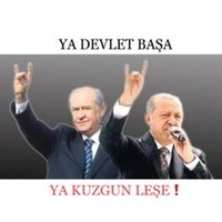 Abdülkerim KOCABAŞ(@EstateEmlak) 's Twitter Profileg