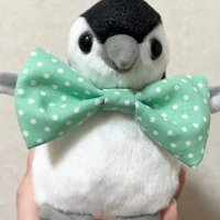 ๐๐ฉตK๐ฉต๐ (@ltll_t) 's Twitter Profile