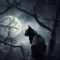 Luna De Noviembre.🌙🐾. (@lunad_noviembre) 's Twitter Profile Photo