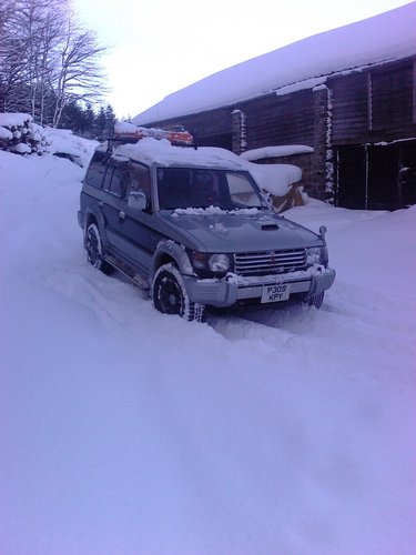 jurrasic1412's profile picture. company mushroom..kept in the dark nd showered in shit