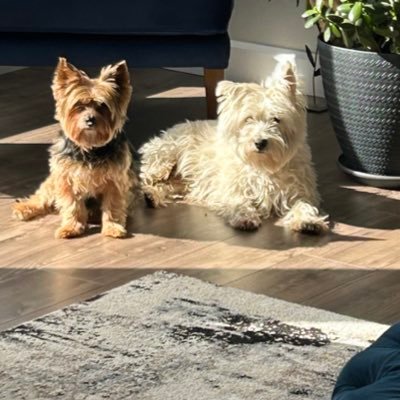 SandraDowin's profile picture. 