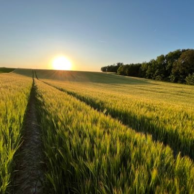 GrymonprezMaxi1's profile picture. 