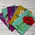 Bear Faced Cards (@bearfacedcards) Twitter profile photo Bear Faced Cards (@bearfacedcards) Twitter profile photo