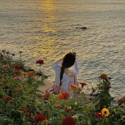 shimmer0002's profile picture. 