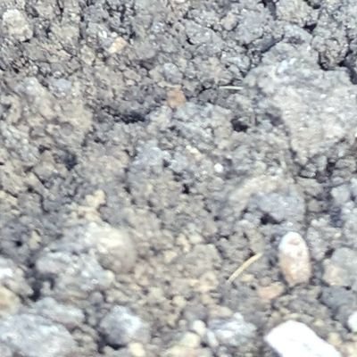 autoconsumolldm's profile picture. autoconsumolldm