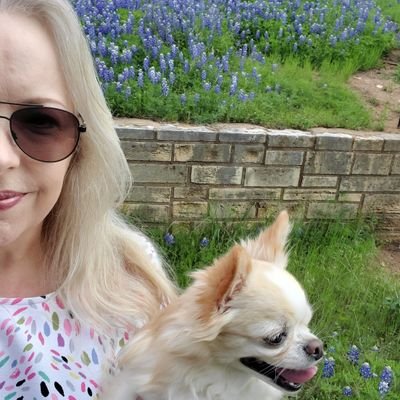 Music, life and stuff in Texas. Long-coat Chihuahua mom. Grateful to be here.