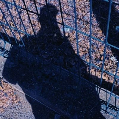 farokini's profile picture. 