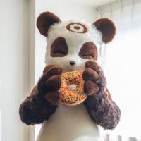 麻花(マーファ)➡️ 🐾寺もふ9 (@mahua_de_panda) 's Twitter Profile