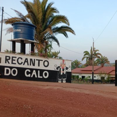 RecantodoGalo13's profile picture. 