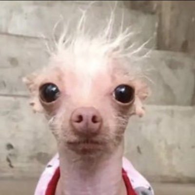 Att. alguien que sigue muriendo (sintiendo no queriendo… a veces queriendo… pero ahora no quiero)
