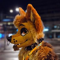 A Yote Called Tau(@Tau_Yote) 's Twitter Profile Photo