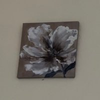 Mayî (@mjdyprz) 's Twitter Profile