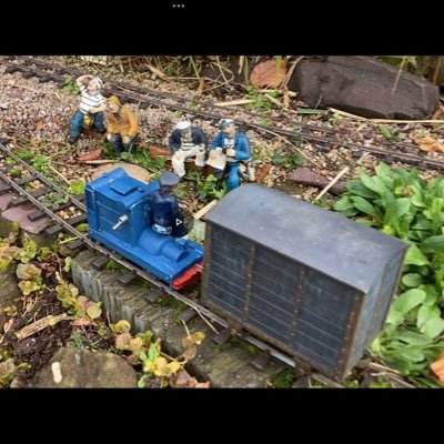 16MM scale in the garden. Battery and live steam.  Mostly ground level. #TMRGUK #SM32