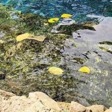 BonerSkull70210's profile picture. ❤️ Fisting
❤️ Creampies
❤️ Spitroast
❤️ Orgies