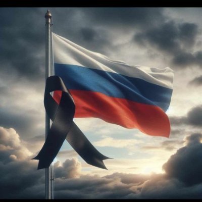 napepropos960's profile picture. 