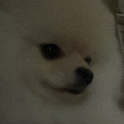 AL72748437's profile picture. 