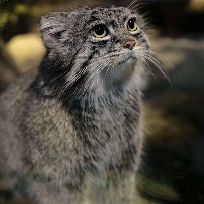 FruitPeasant's profile picture. 