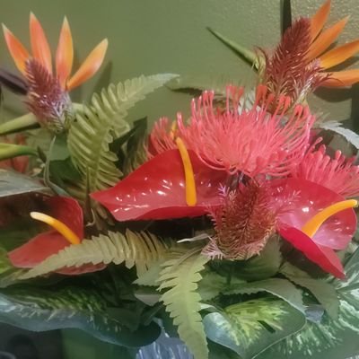 mammabear2035's profile picture. Anticommunist, Antimarxist