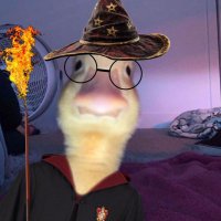 Harold Potter From Hogwarts(@ZarateBorja) 's Twitter Profile Photo